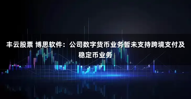 丰云股票 博思软件：公司数字货币业务暂未支持跨境支付及稳定币业务