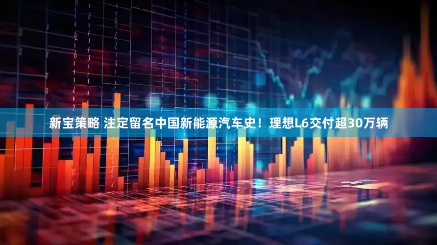 新宝策略 注定留名中国新能源汽车史！理想L6交付超30万辆