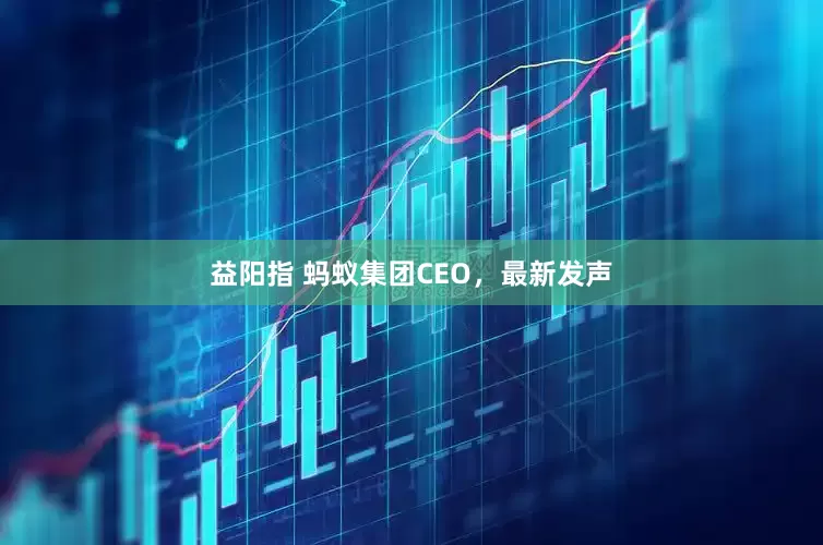 益阳指 蚂蚁集团CEO，最新发声
