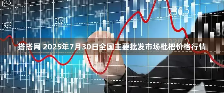 搭搭网 2025年7月30日全国主要批发市场枇杷价格行情